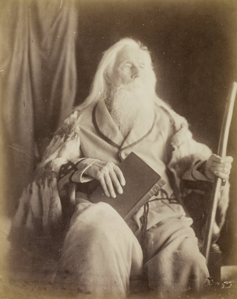 Charles Hay Cameron, 186465. tekijältä Julia Margaret Cameron