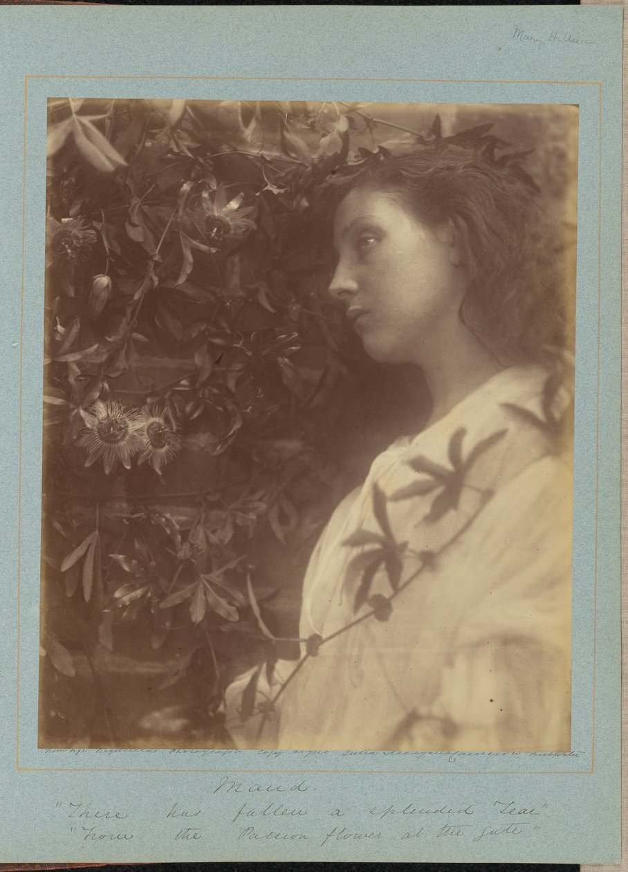 Maud tekijältä Julia Margaret Cameron