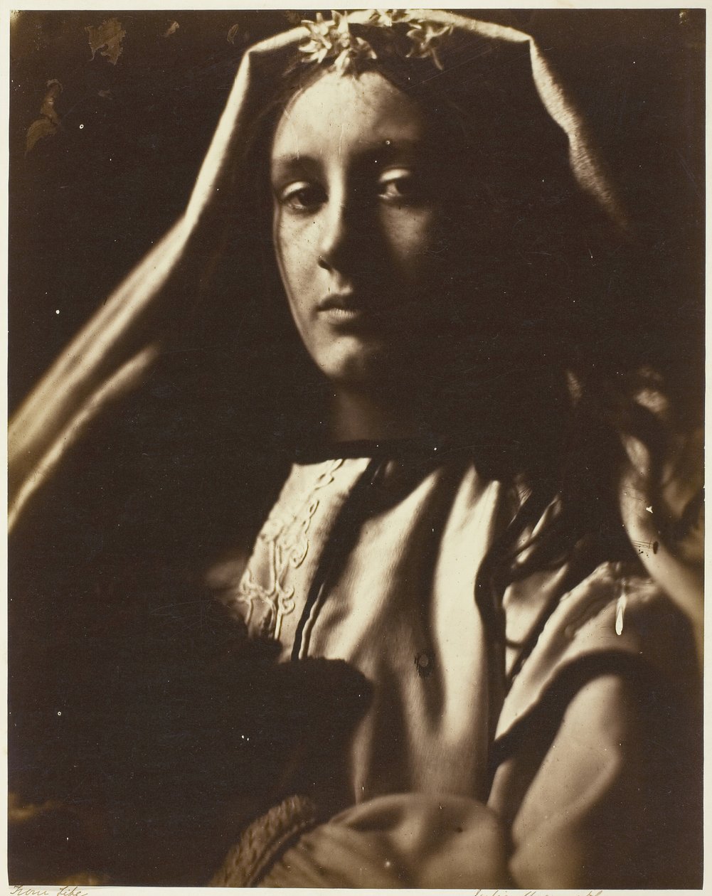 Neopolitan, 186465. tekijältä Julia Margaret Cameron
