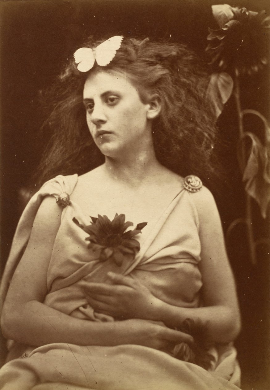 Auringonkukka, 1870-luvun alku (kuva) tekijältä Julia Margaret Cameron