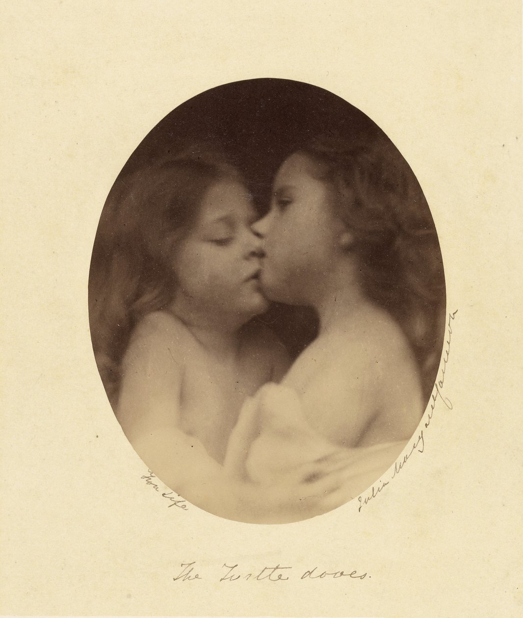 Turturikyyhkyt tekijältä Julia Margaret Cameron