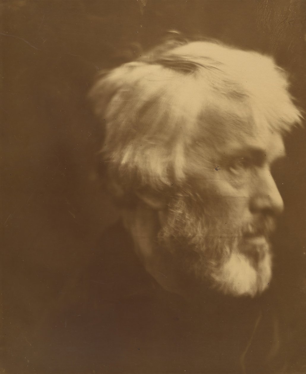 Thomas Carlyle, 1867. tekijältä Julia Margaret Cameron