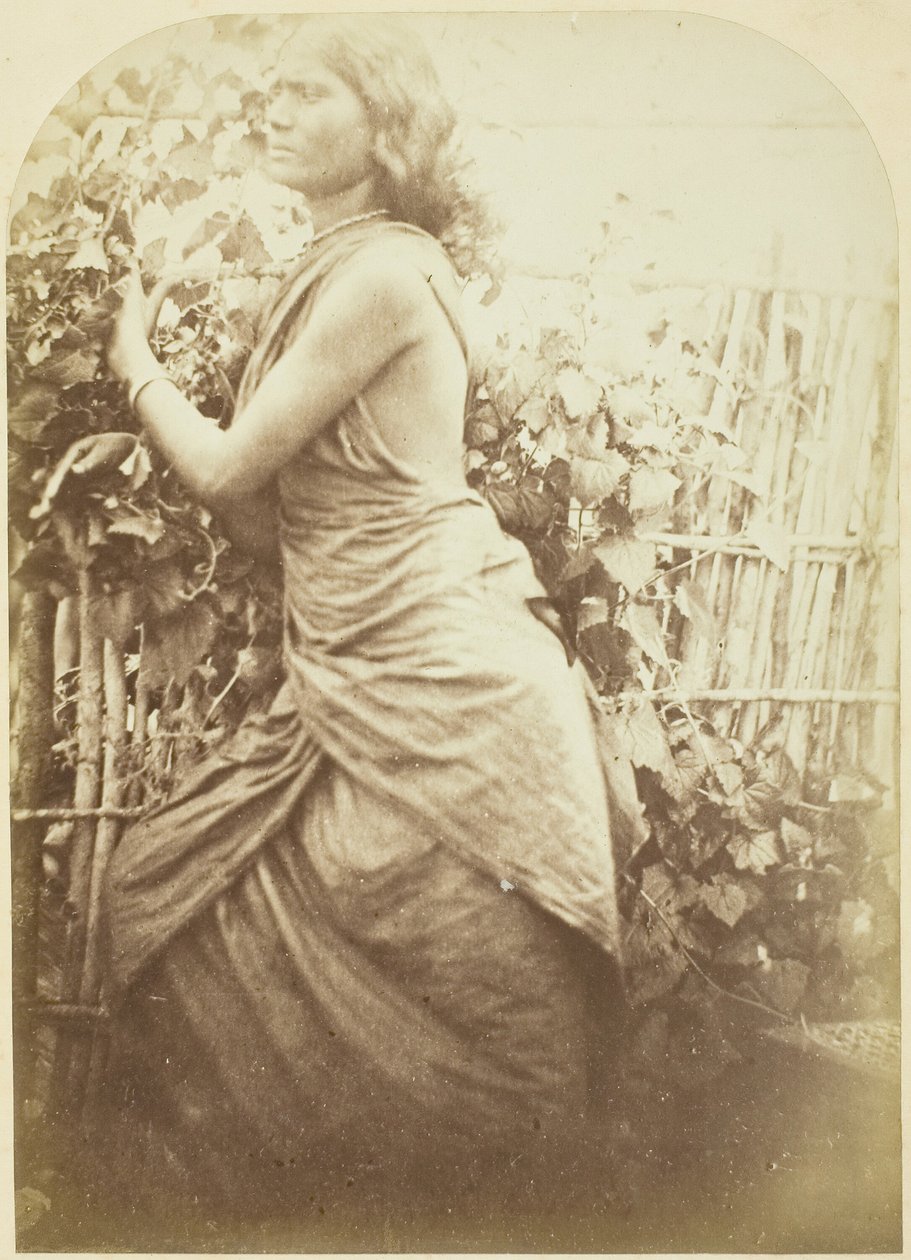 Nainen, Ceylon, 187579. tekijältä Julia Margaret Cameron