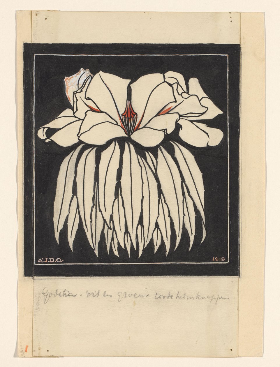Godetia tekijältä Julie de Graag (signed by artist)