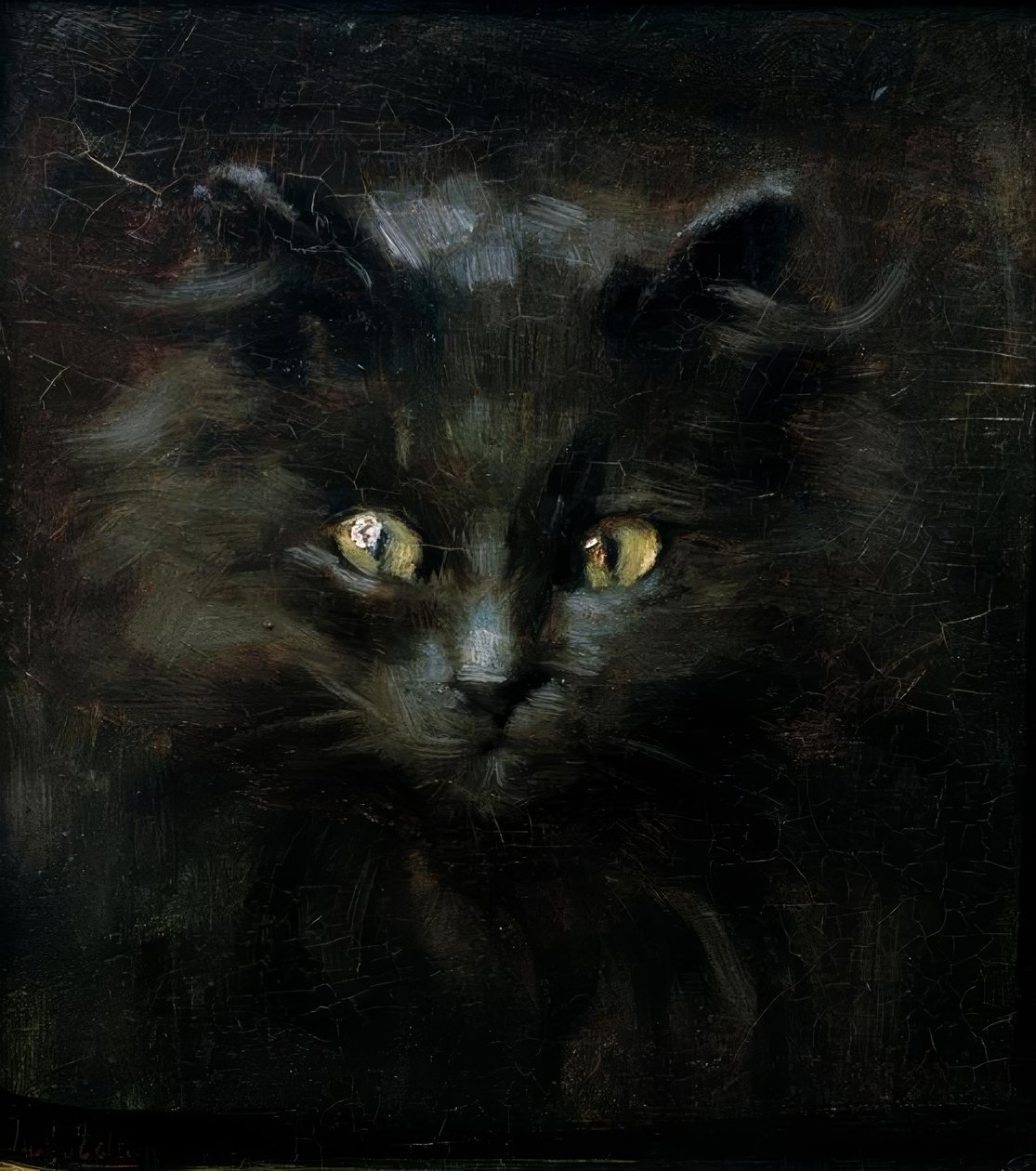 Porträt einer Katze tekijältä Julius Adam