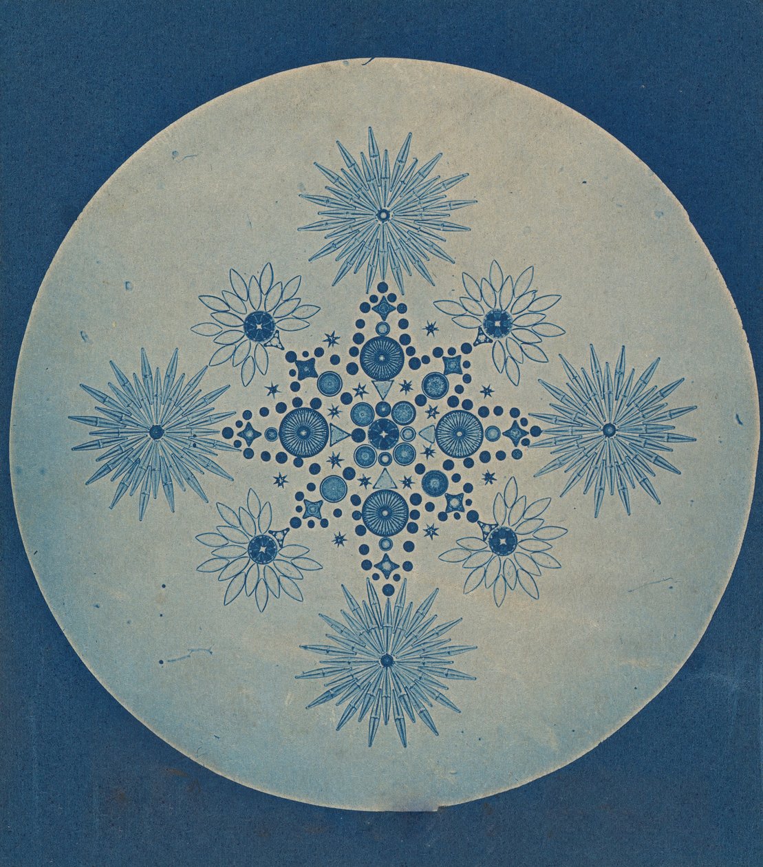 [Piilevien karvat], n. 1870. tekijältä Julius Wiesner.