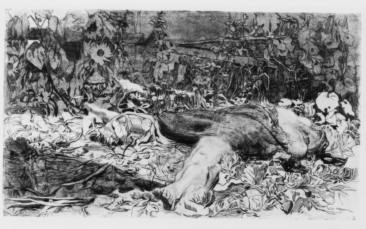 Raiskattu tekijältä Käthe Kollwitz
