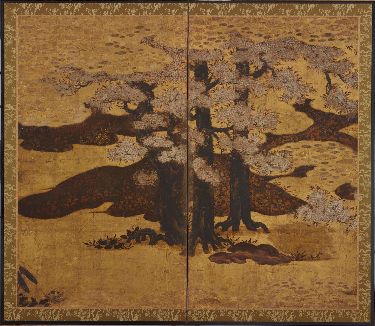 Kukkivat kirsikkapuut, Edo-kausi, n. 1580-1635. tekijältä Kano Sanraku