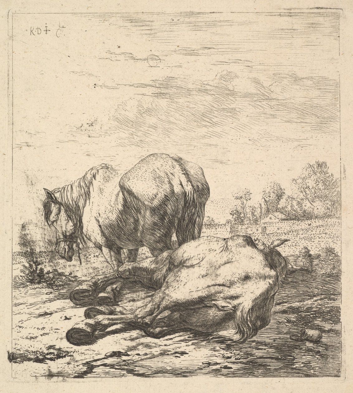 Kaksi hevosta, 1600-luku. tekijältä Karel Du Jardin