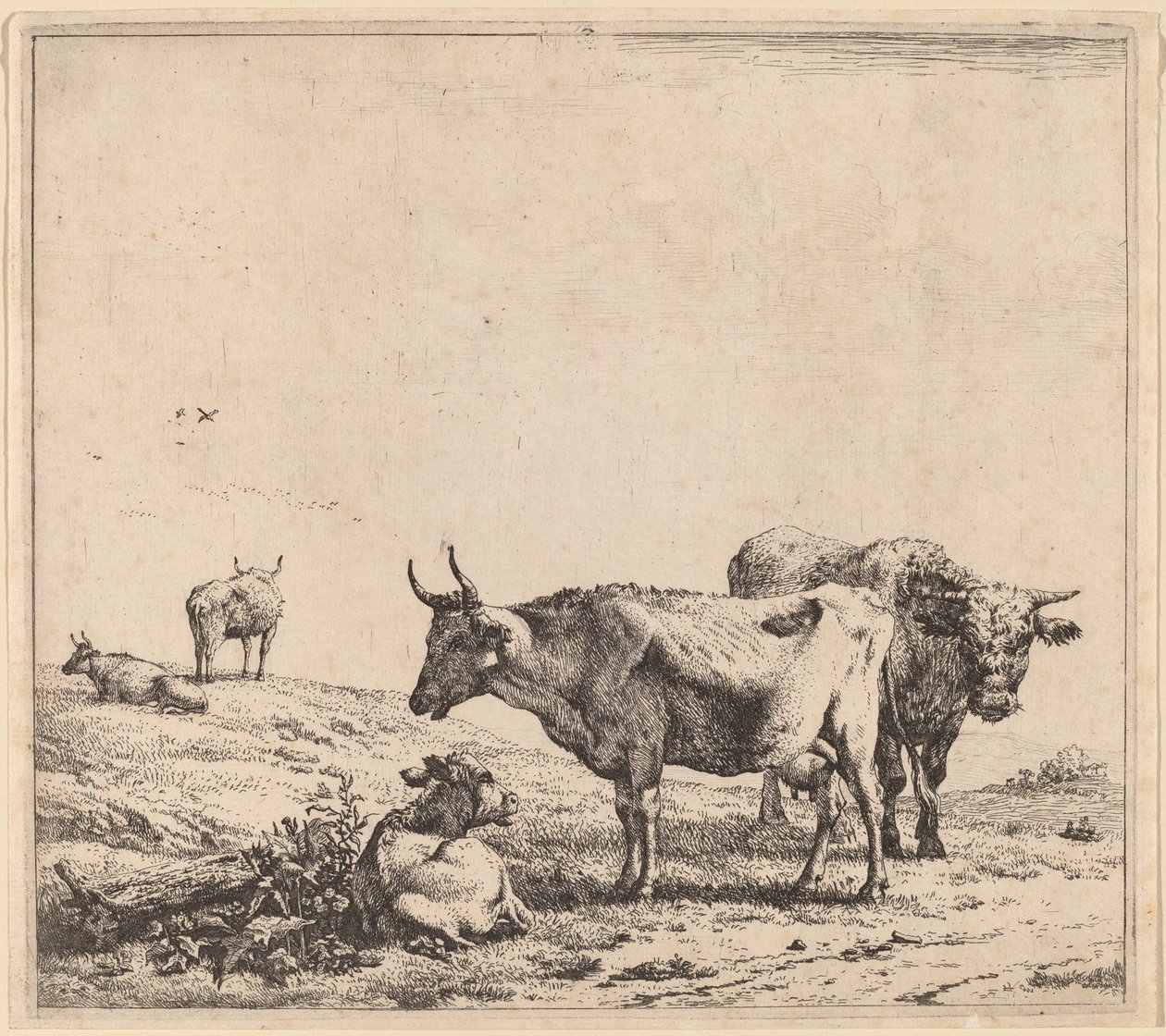 Lehmä, härkä ja vasikka tekijältä Karel Dujardin