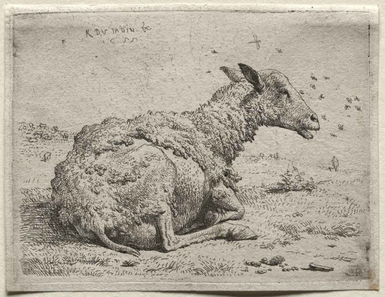 Lampaat ja kärpäset tekijältä Karel Dujardin