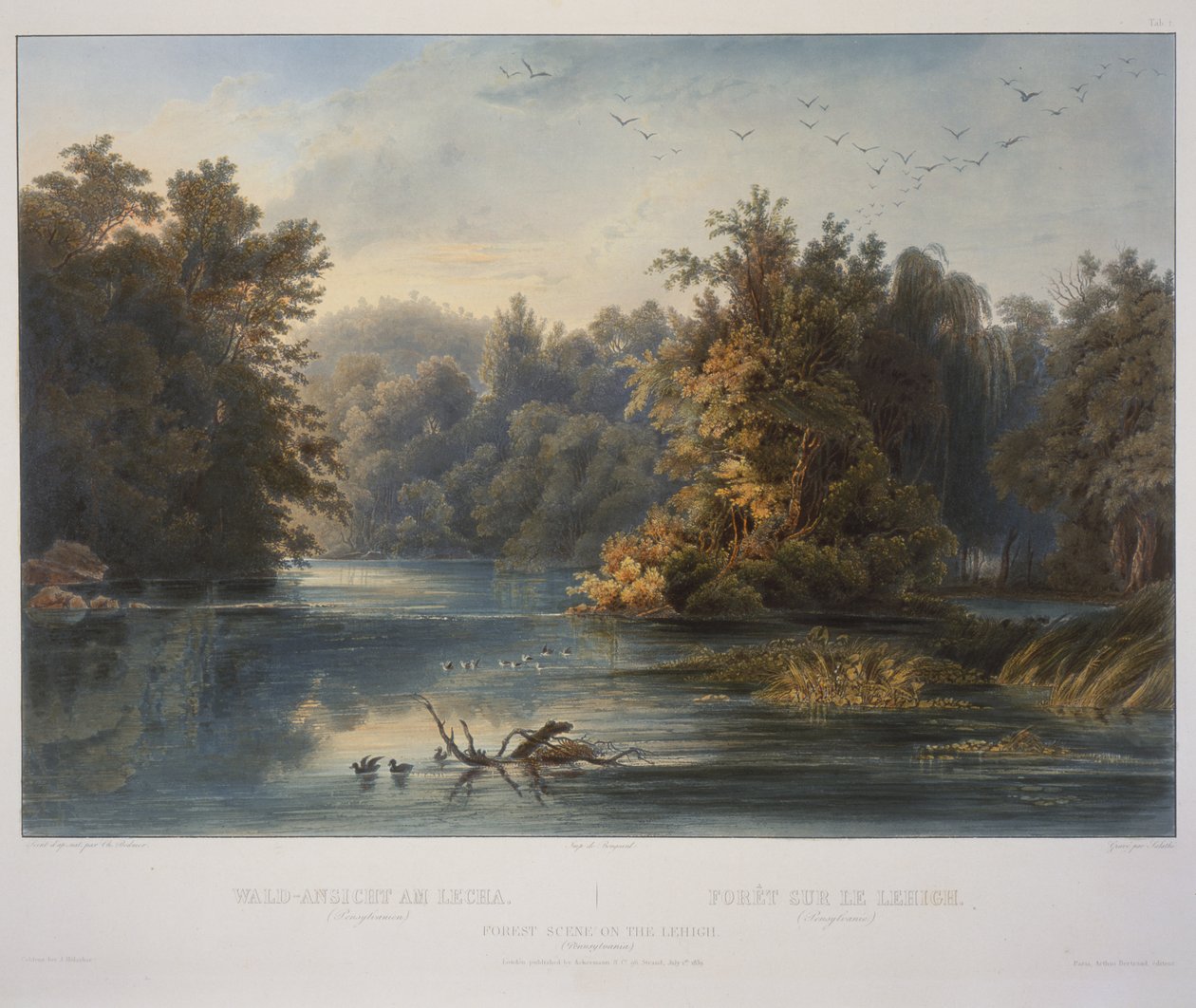 Metsäkohtaus Lehigissä tekijältä Karl Bodmer