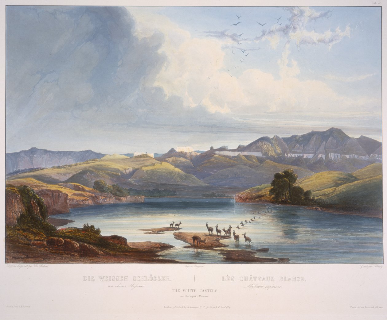 Valkoiset linnat Missourin yläjuoksulla tekijältä Karl Bodmer