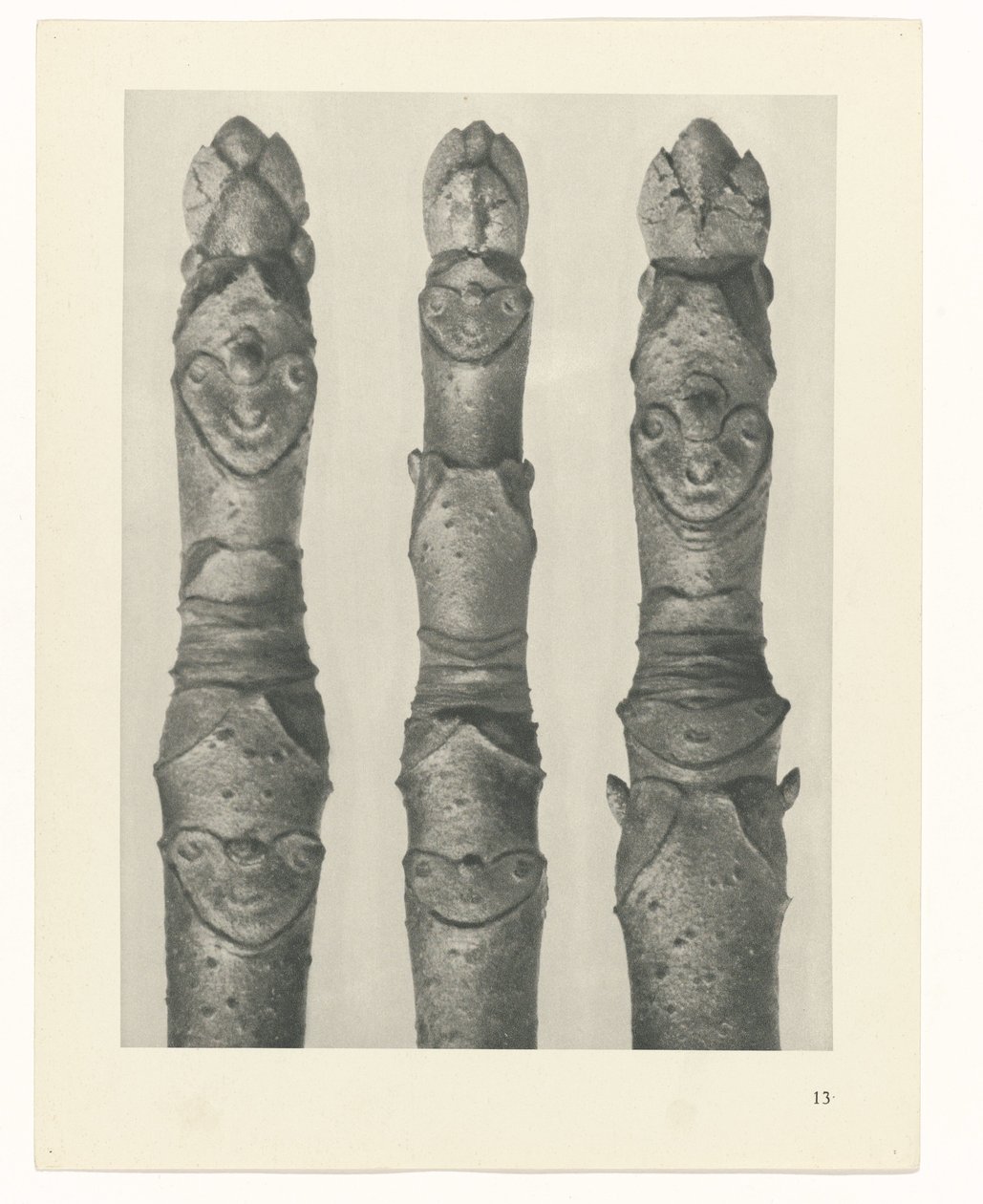 suunnittele tutkimusta Taiteen arkkityypit (sarjan nimi) tekijältä Karl Blossfeldt