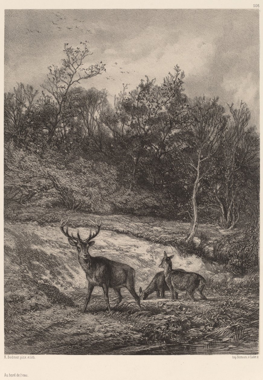 Veden äärellä. tekijältä Karl Bodmer