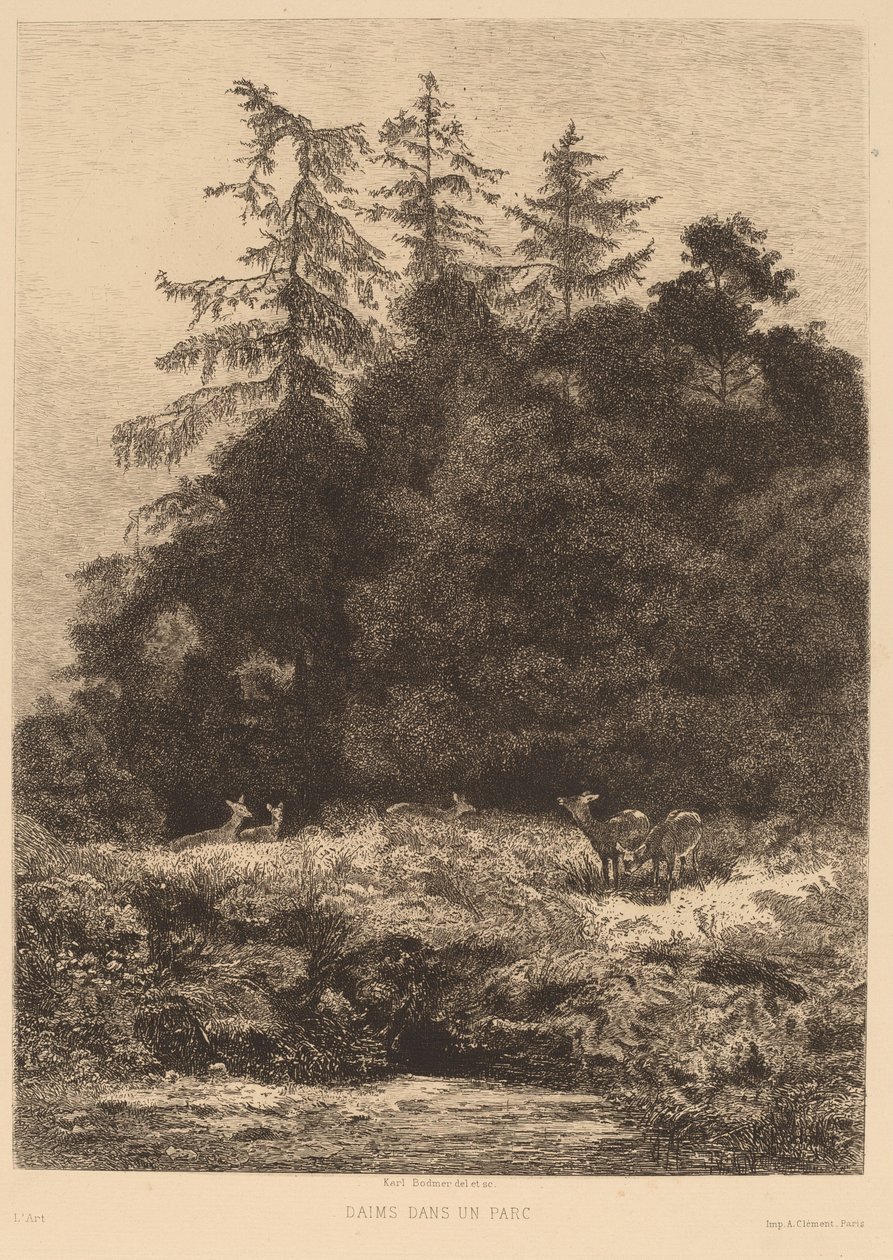 Kuusipeura puistossa. tekijältä Karl Bodmer