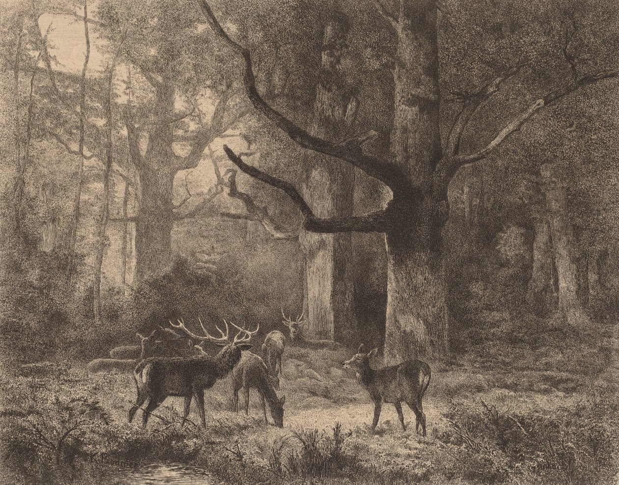 Fontainebleaun metsä. tekijältä Karl Bodmer