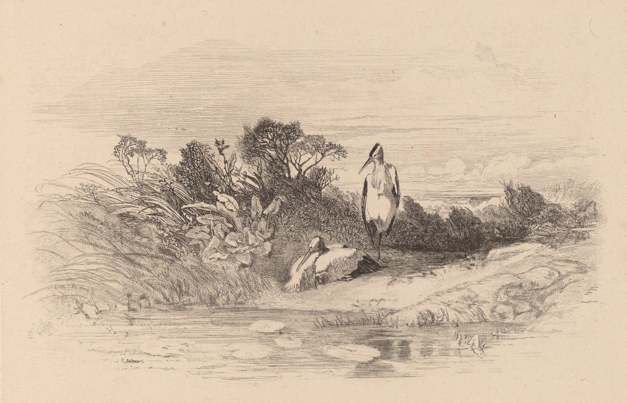 Haikaroita. tekijältä Karl Bodmer