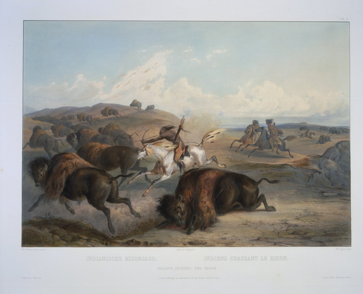 Intiaanit Biisonia metsästämässä tekijältä Karl Bodmer