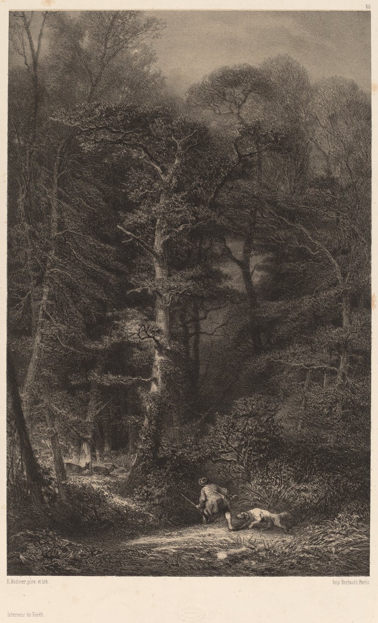 Metsän sisätilat. tekijältä Karl Bodmer