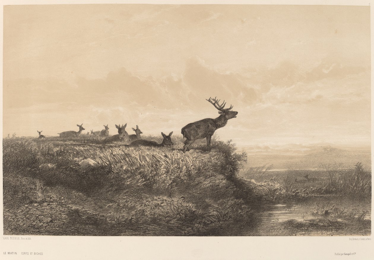 El matí. finlandès tekijältä Karl Bodmer