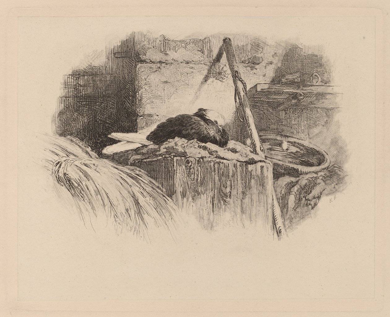 Kyyhkynen pesässä. tekijältä Karl Bodmer