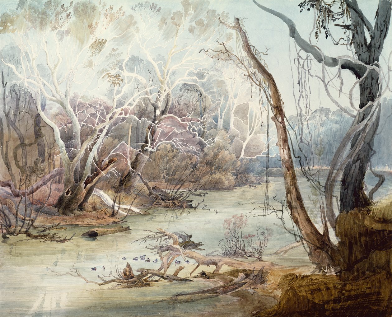 Fox River lähellä New Harmonya, Indiana tekijältä Karl Bodmer