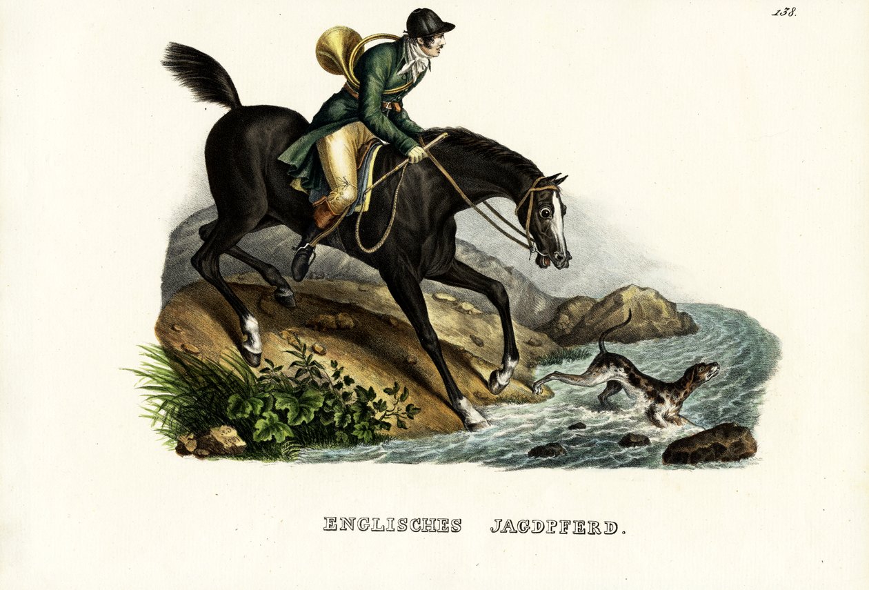 Englantilainen metsästäjähevonen, 1824 tekijältä Karl Joseph Brodtmann