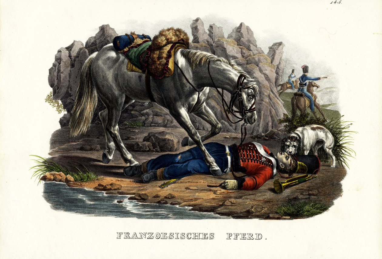 Ranskanhevonen, 1824 tekijältä Karl Joseph Brodtmann