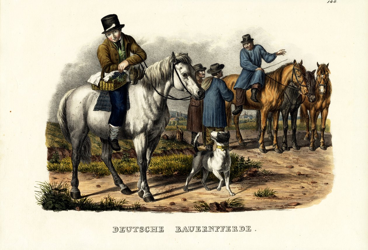 Saksalaiset maatilan hevoset, 1824 tekijältä Karl Joseph Brodtmann