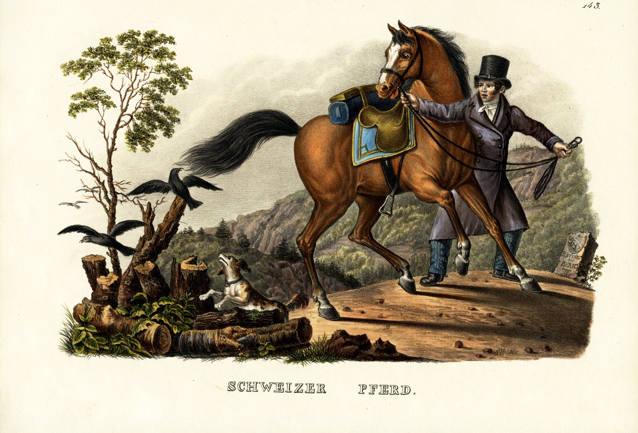 Sveitsin hevonen, 1824 tekijältä Karl Joseph Brodtmann
