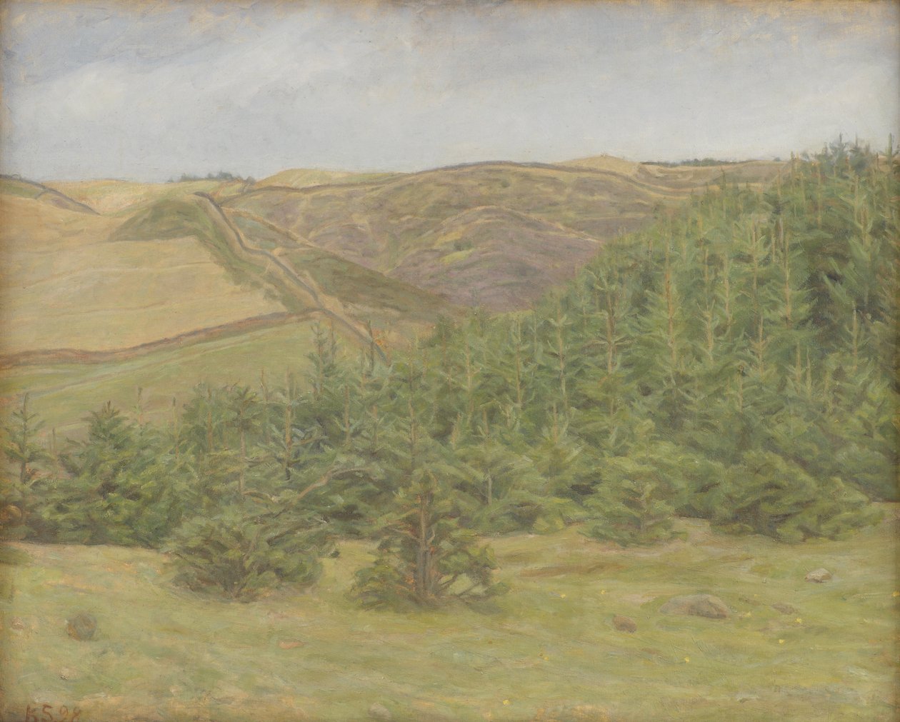 Svanninge Hills, Funen tekijältä Karl Schou