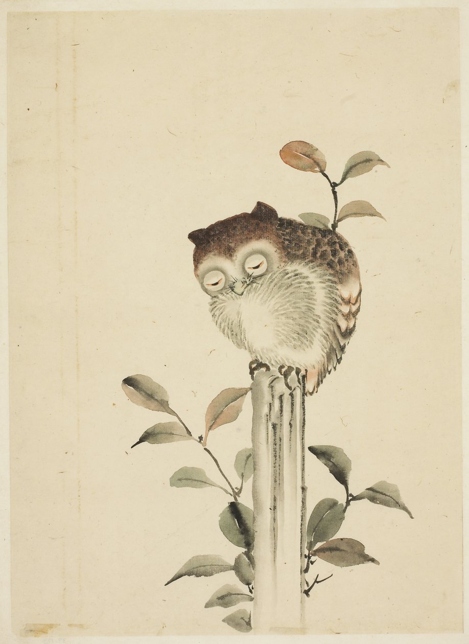 Pöllö nukkuu kannolla tekijältä Katsushika (school of) Hokusai