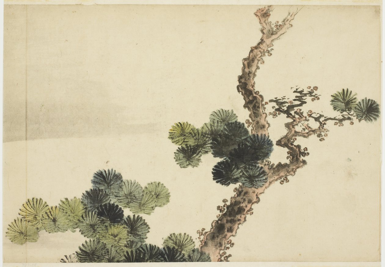 Männyn oksa tekijältä Katsushika (school of) Hokusai