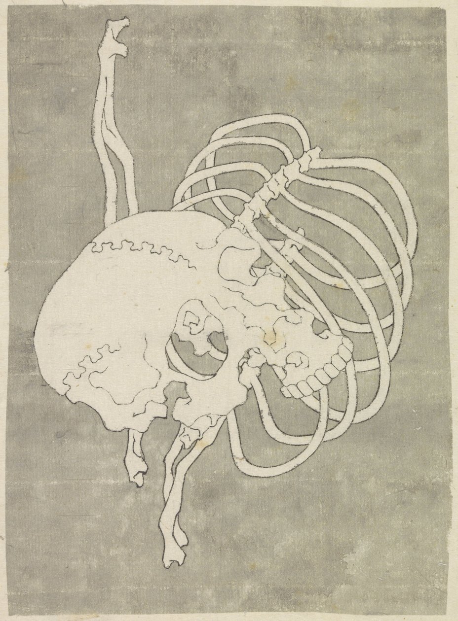 Kallo ja rintakehä tekijältä Katsushika Hokusai (possibly)