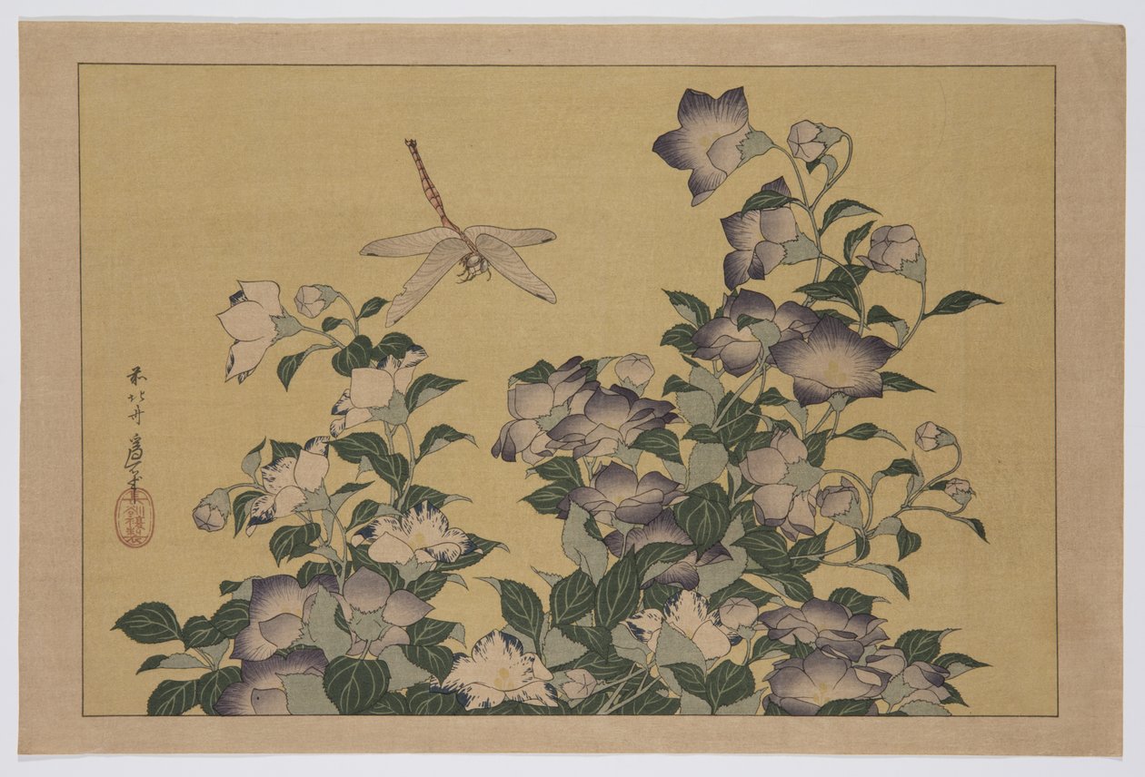 Bellflower and Dragonfly (värillinen puupalikkaprintti) tekijältä Katsushika Hokusai