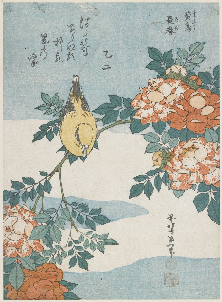 Mustanokkainen oriolis ja kiinanruusu, noin 1833. tekijältä Katsushika Hokusai