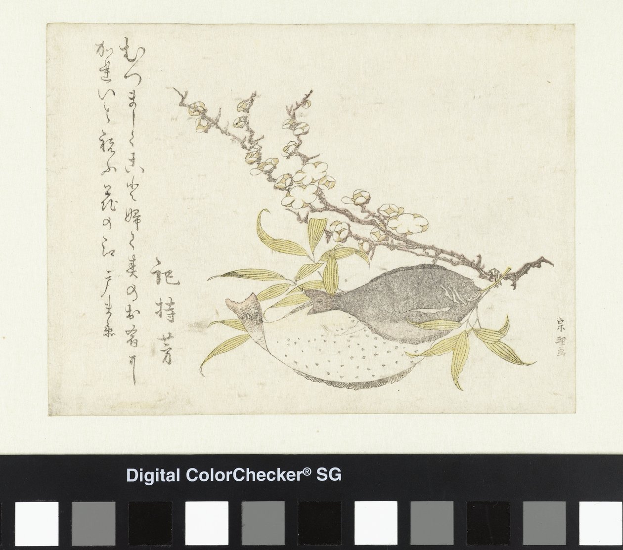 Kaksi kampelaa ja luumu tekijältä Katsushika Hokusai