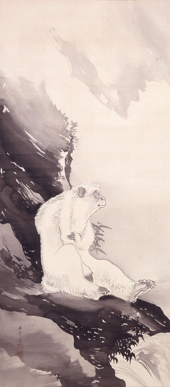 White Monkey (muste silkillä) tekijältä Kawabata Gyokushō