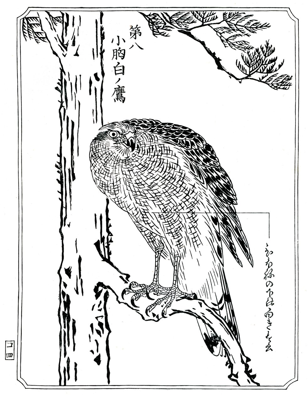 Haukka, 1898. tekijältä Kawanabe Kyosai