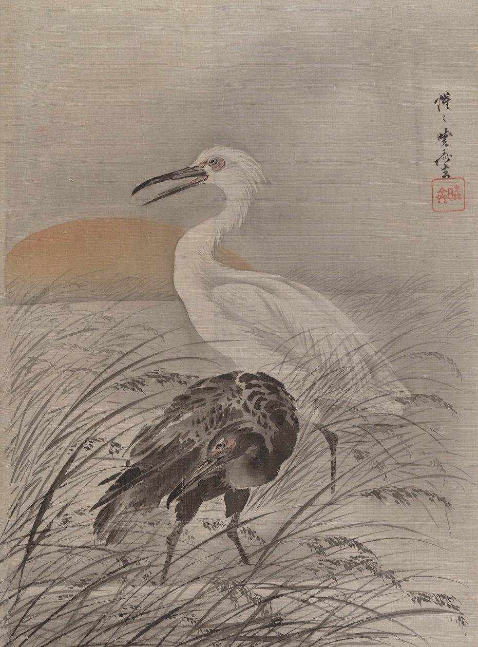 Nosturit Marshissa, n. 1887. tekijältä Kawanabe Kyosai