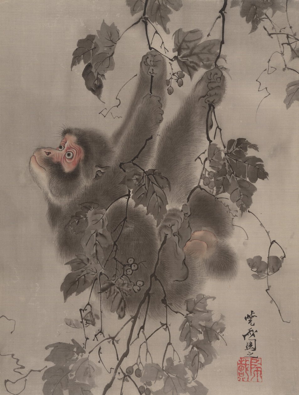 Grapevinesista riippuva apina, n. 1887. tekijältä Kawanabe Kyosai