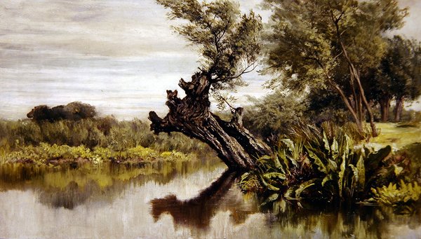 The Willow Tree (öljy kankaalle) tekijältä Keeley Halswelle