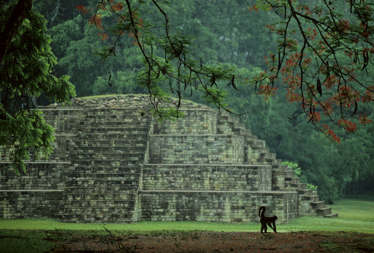 Honduras; Copan; Maya tekijältä Kenneth Garrett