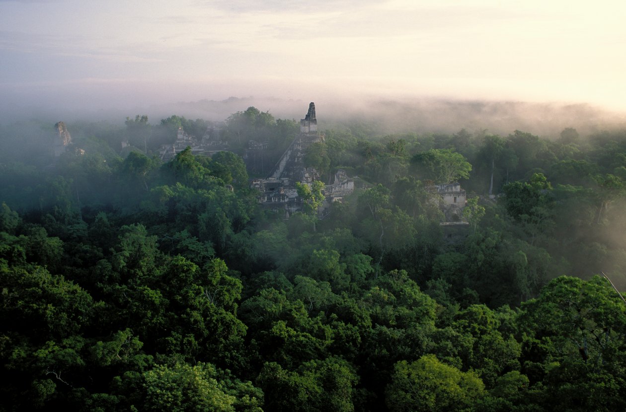 Maya; Tikal; Guatemala tekijältä Kenneth Garrett