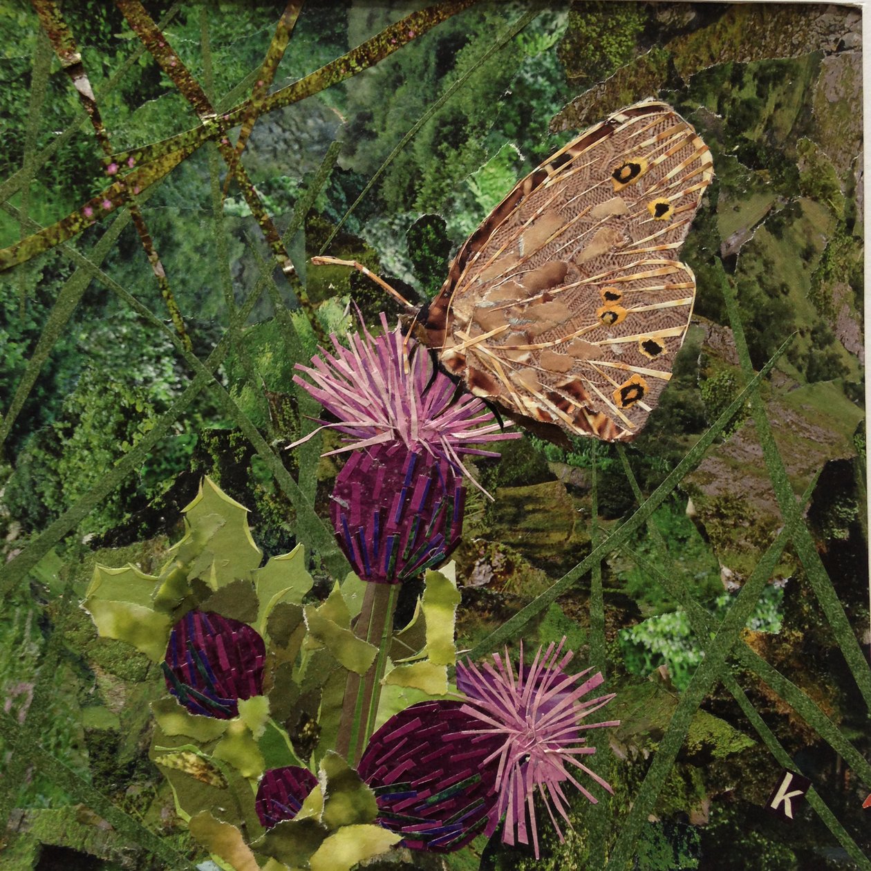 Flit - Satyr Butterfly On Thistle tekijältä Kirstie Adamson