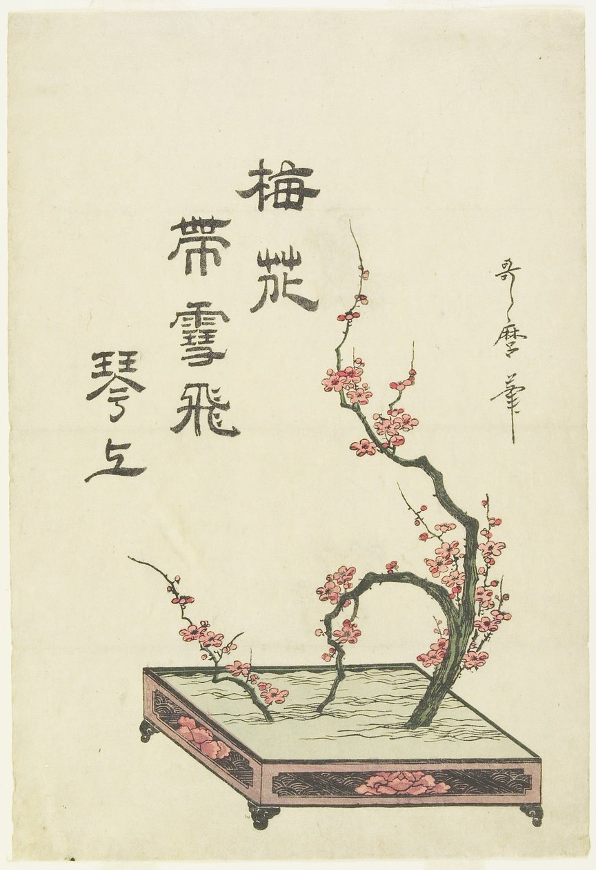 (luumun kukka-asetelma) tekijältä Kitagawa Utamaro