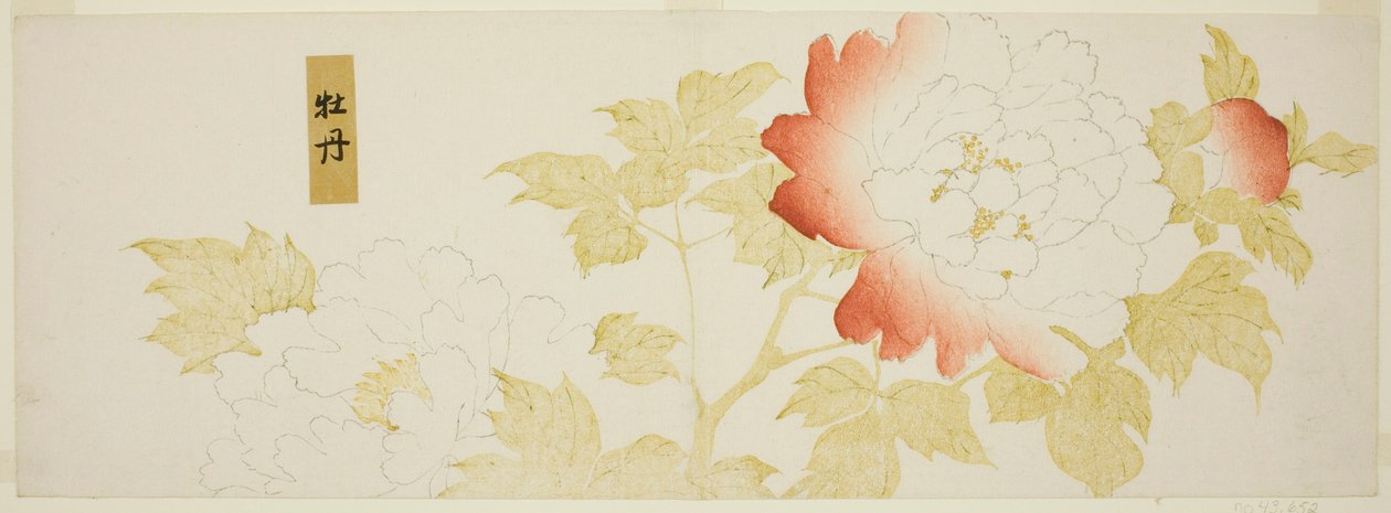 Pionit tekijältä Kitagawa Utamaro