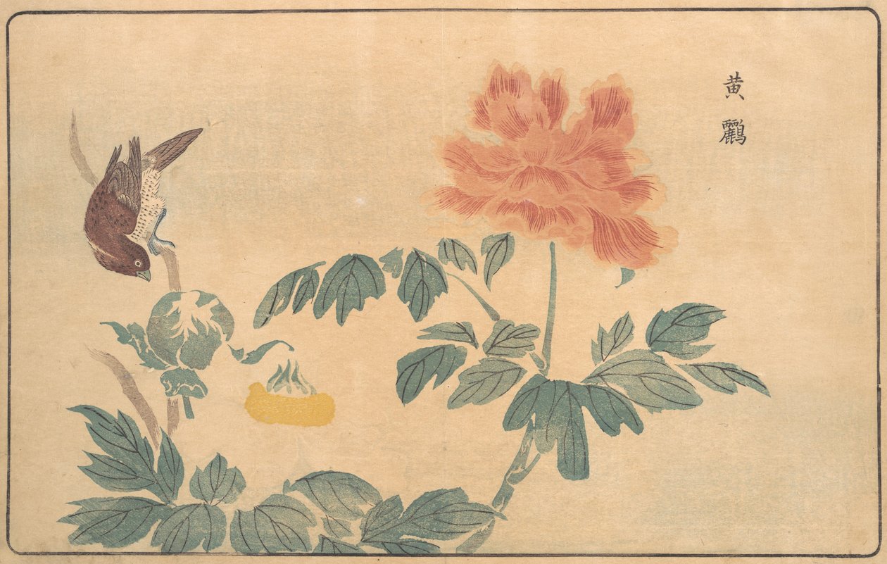 Kiinalainen oriole ja pionit, 1789. tekijältä Kitao Masayoshi