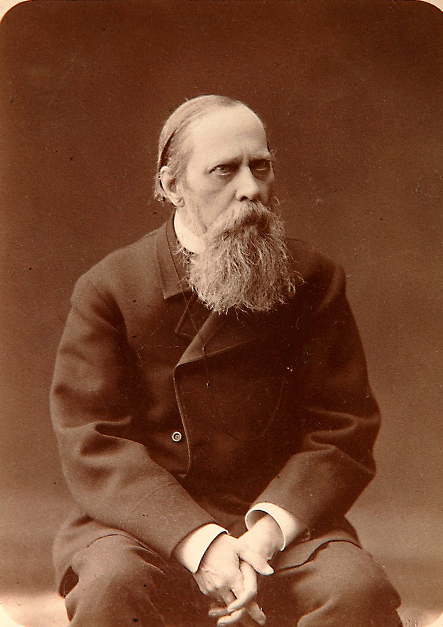 Mihail Saltykov-Shchedrin, venäläinen kirjailija, 1880-luku tekijältä Konstantin Schapiro